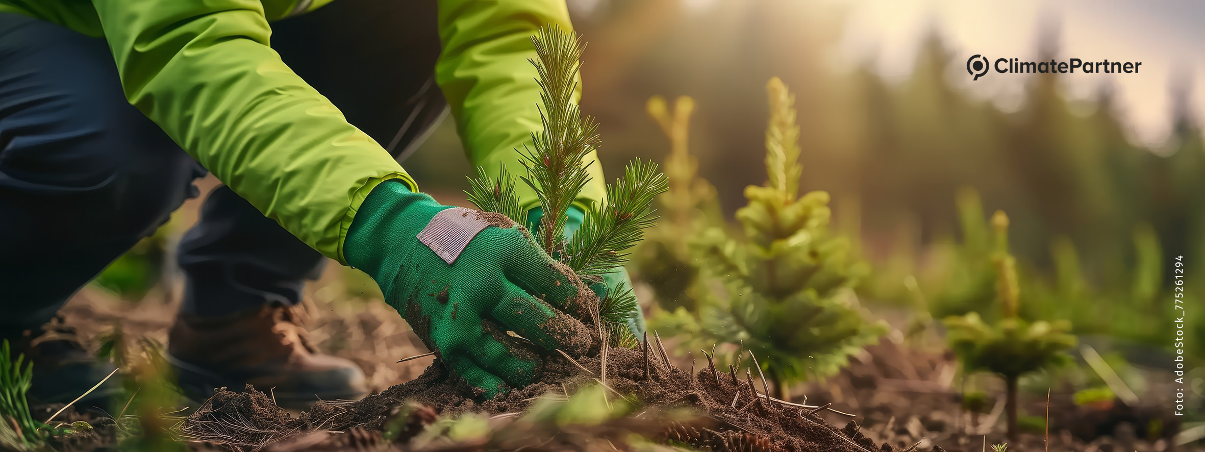 Jetzt mit Finanziellem Klimabeitrag drucken