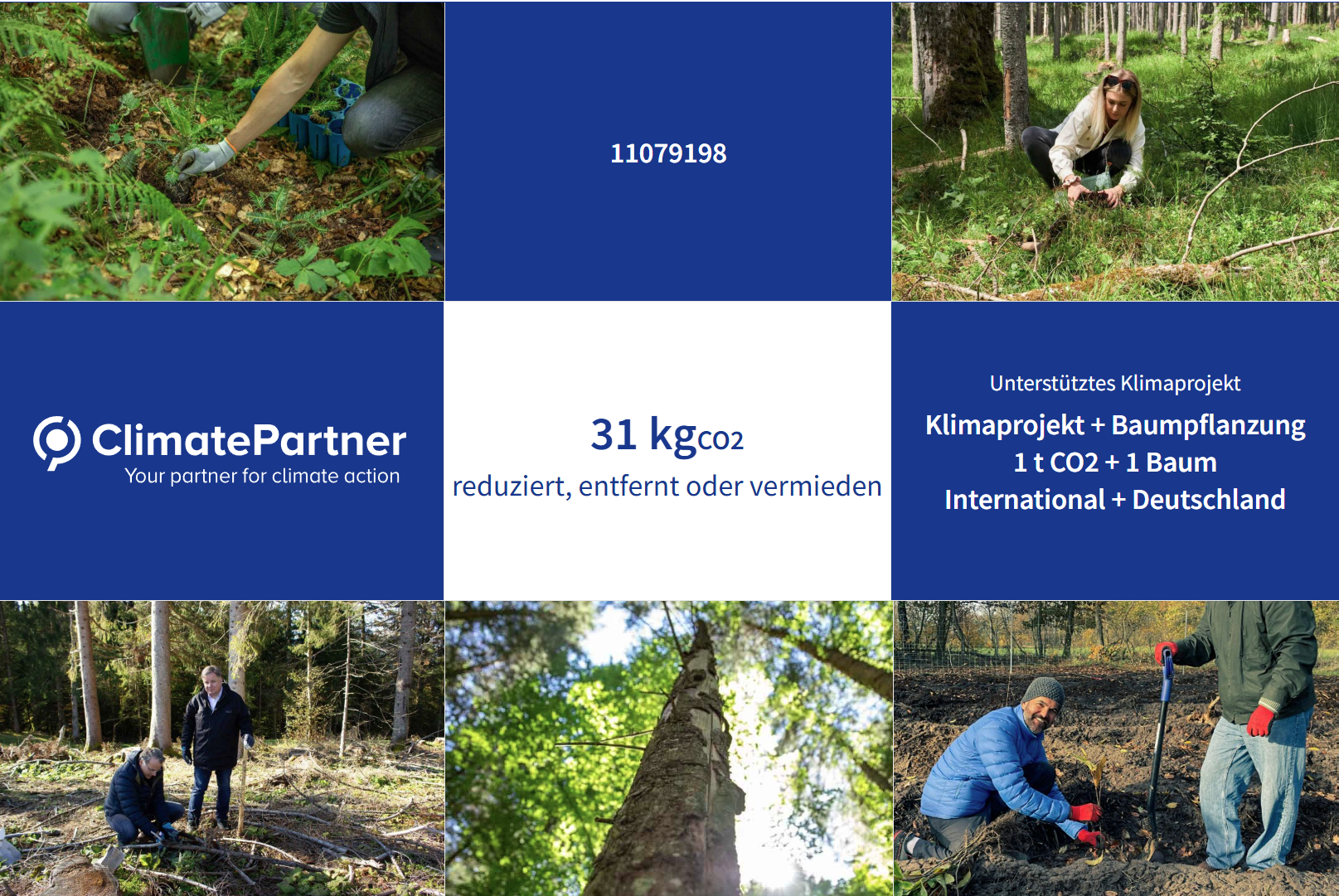 International zertifiziertes Klimaschutzprojekt sowie ausgewähltes regionales Naturschutz- und Aufforstungsprojekt